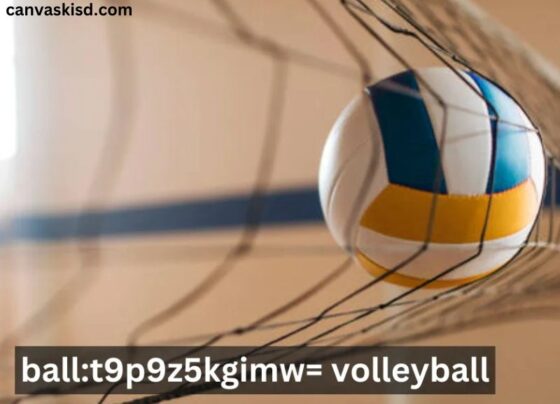 Ball:t9p9z5kgimw= Volleyball