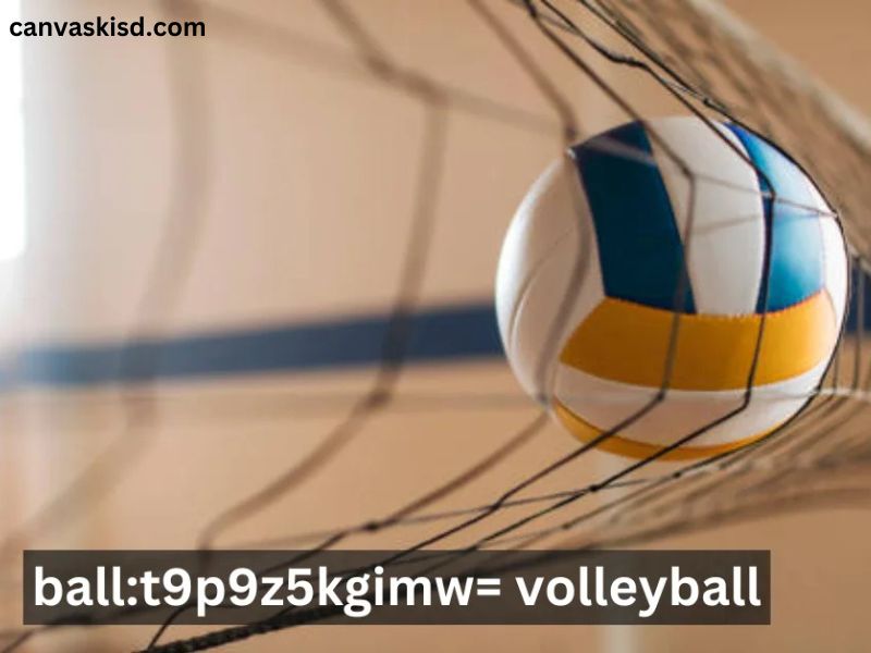 Ball:t9p9z5kgimw= Volleyball