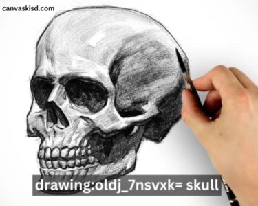 Drawing:oldj_7nsvxk= Skull