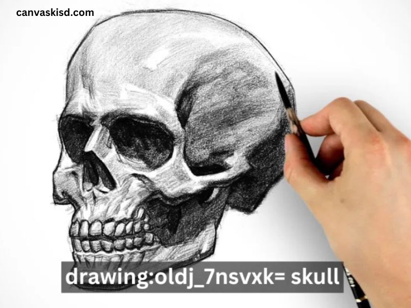 Drawing:oldj_7nsvxk= Skull