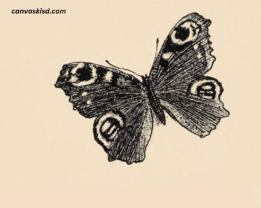 Drawing:5DLMDOWXULA= Butterfly