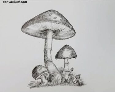 Drawing:Plcxcsjeqpq= Mushroom