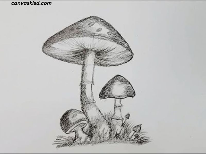 Drawing:Plcxcsjeqpq= Mushroom